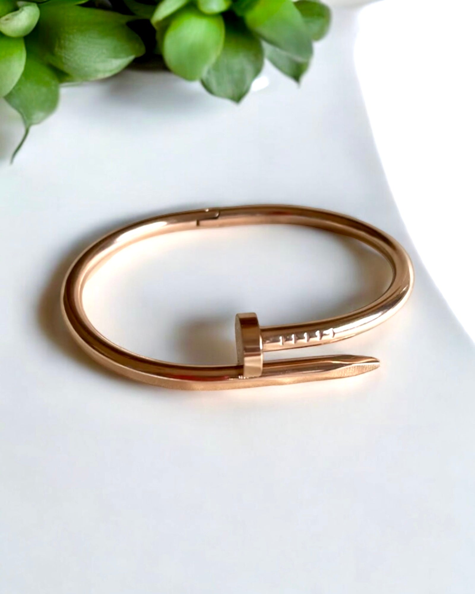 Cartier Nail Bracelet Bangle